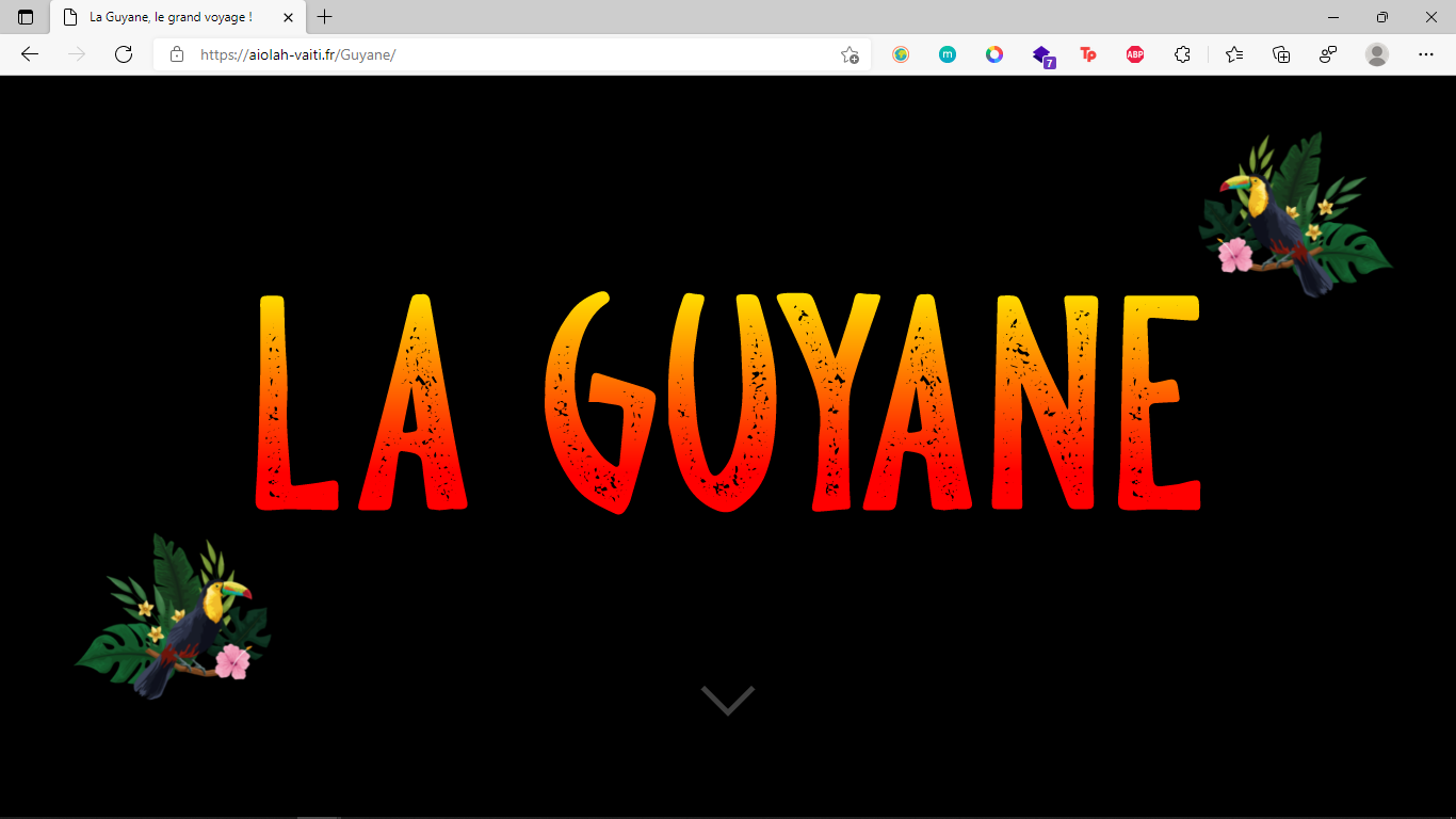 Capture d'écran du site de Guyane